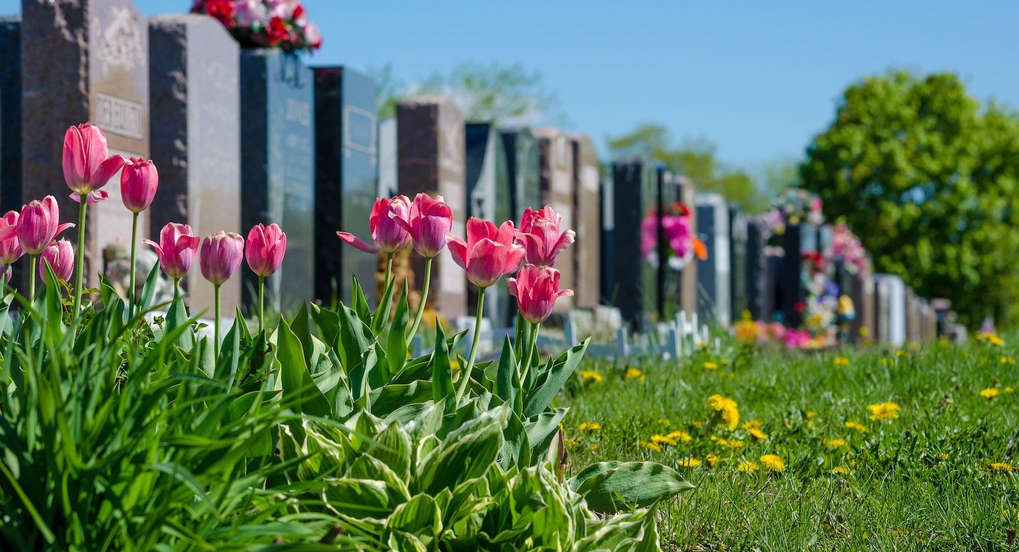 jardin des souvenirs